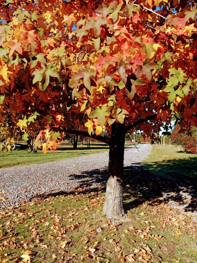 Casa De Campo Liquidambar Сан-Педро Экстерьер фото